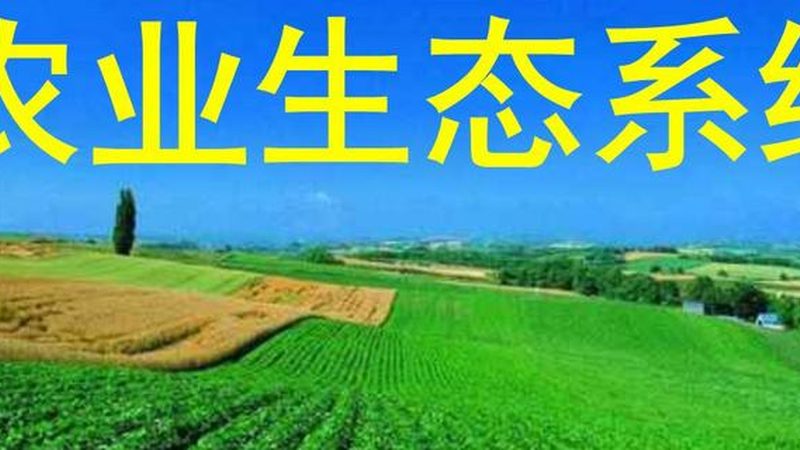 农产品批发电商平台怎么选