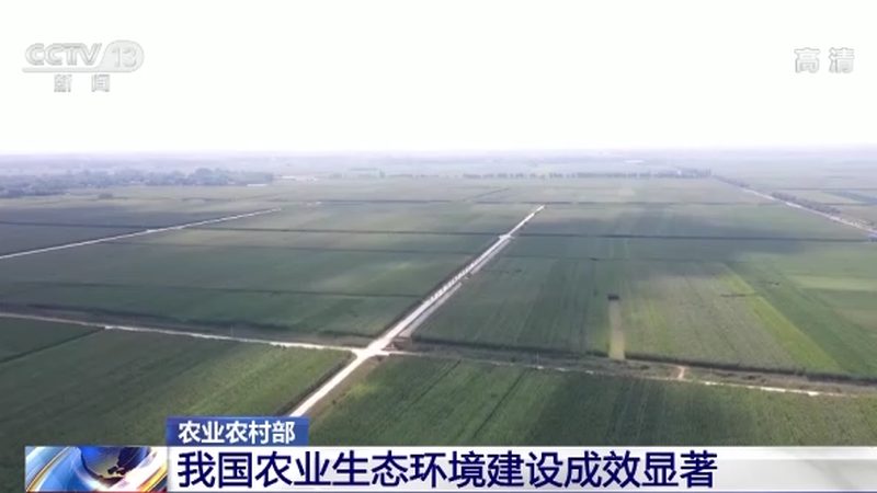 上海食堂食材配送哪家好