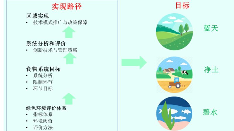 食材配送公司投标资质要求