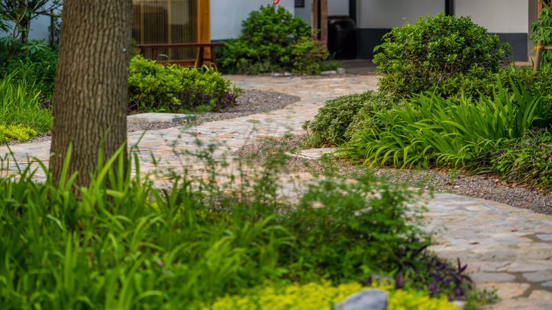 家庭农场扩建产业园，费用构成与预算规划
