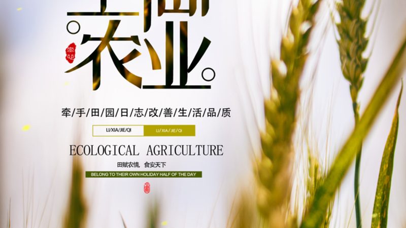有机蔬菜配送上门，如何选择合适的配送公司？**