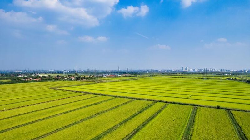 家庭农场起步前，先算清这笔启动账