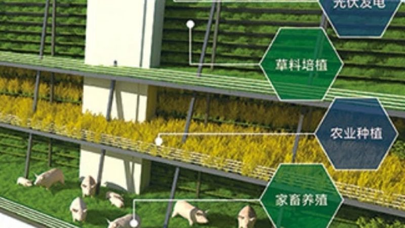 绿色食品认证复查换证流程